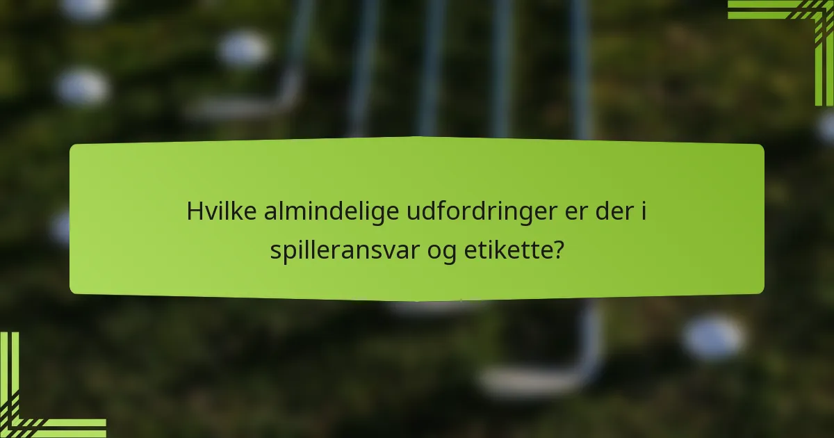 Hvilke almindelige udfordringer er der i spilleransvar og etikette?